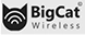 Bigcat-logo