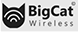 Bigcat Logo
